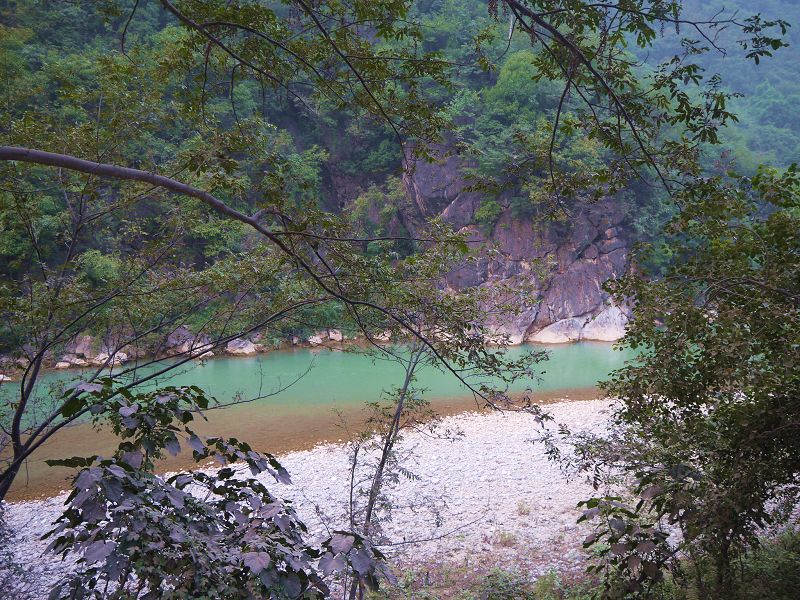 P1290444a.jpg