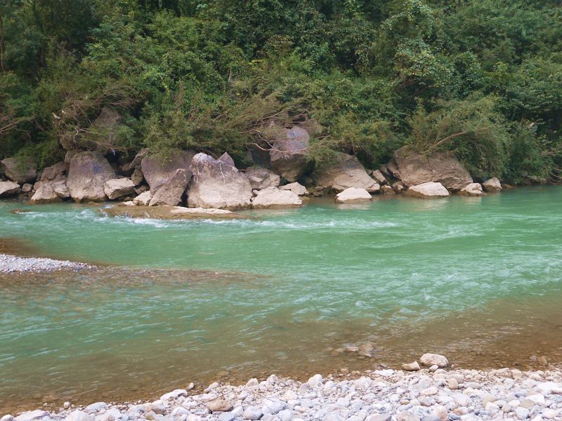 P1290436a.jpg