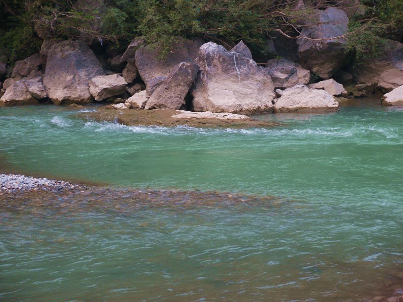 P1290441a.jpg
