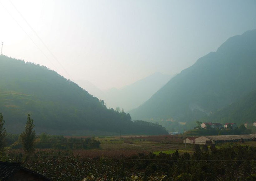 P1290475c.jpg