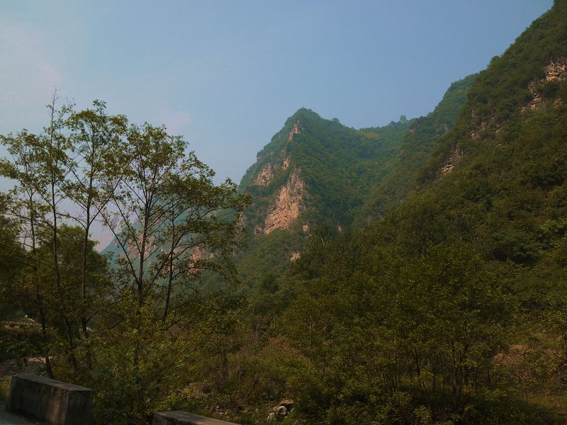 P1290501a.jpg
