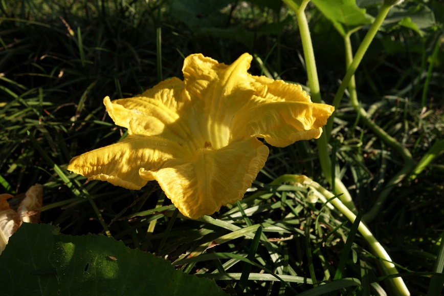 nEO_IMG_DSC01314.jpg