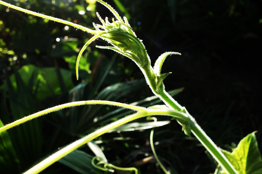 nEO_IMG_DSC01324.jpg
