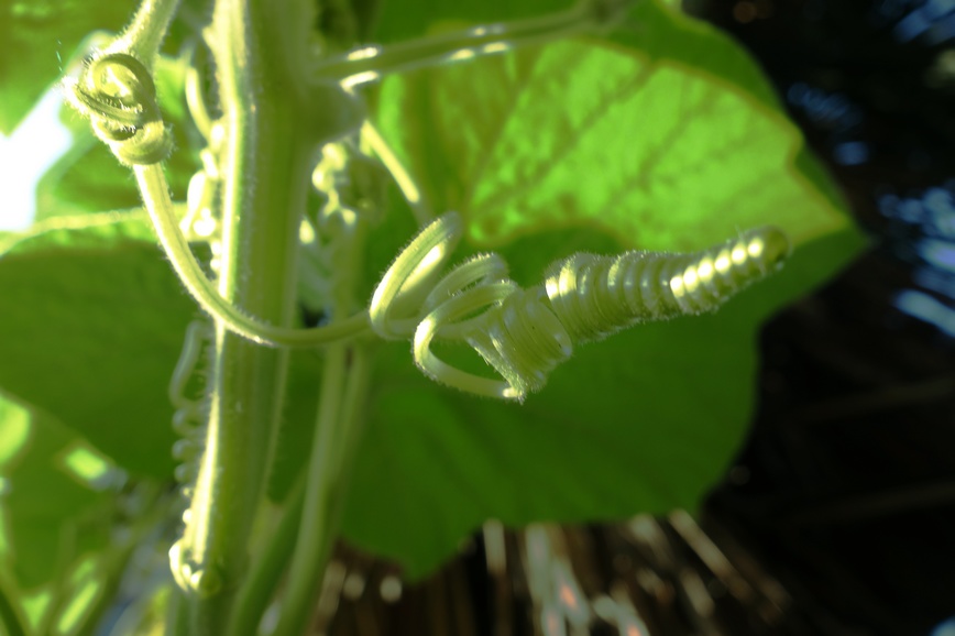 nEO_IMG_DSC01321.jpg