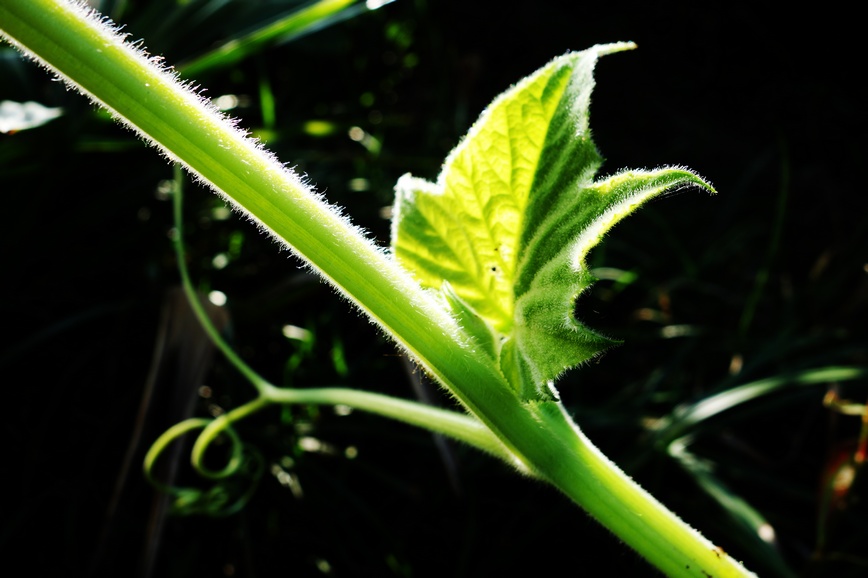 nEO_IMG_DSC01325.jpg