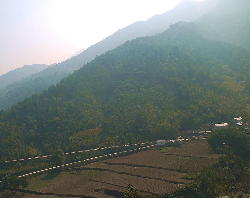 P1290494a.jpg