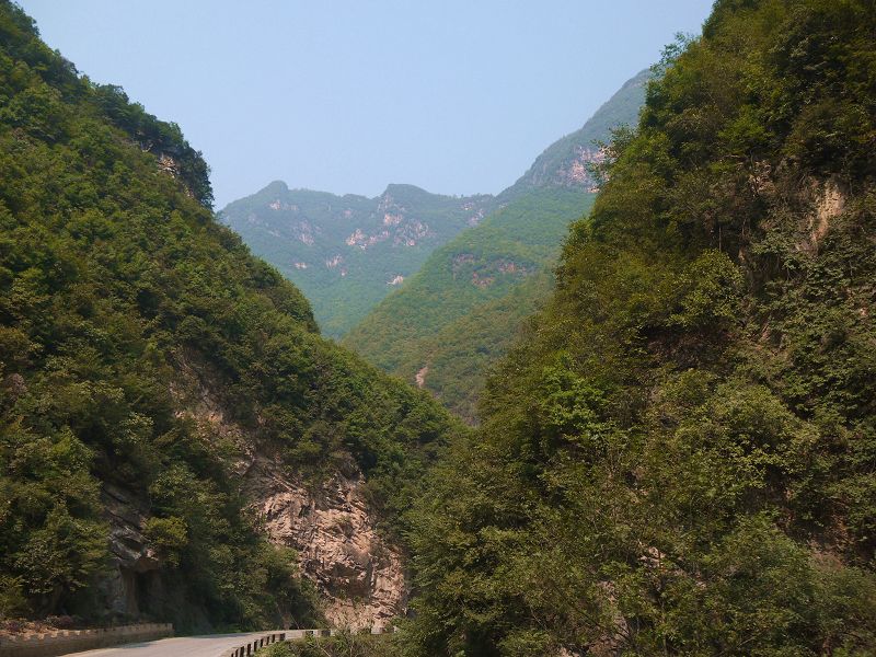 P1290507a.jpg