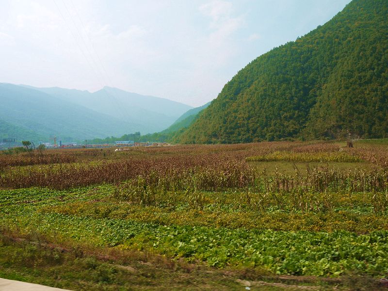 P1290552a.jpg