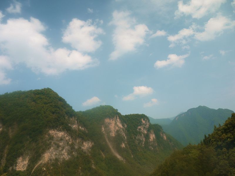 P1290561a.jpg