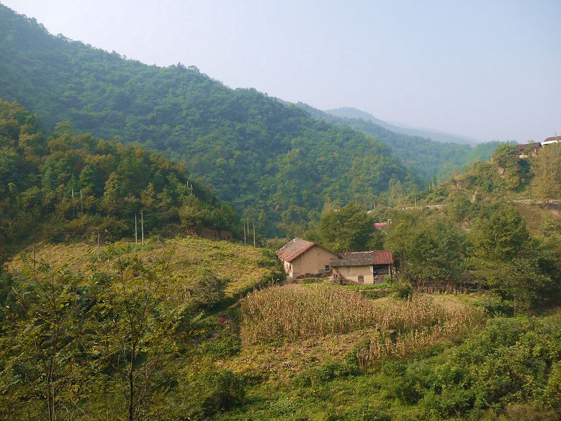 P1290478a.jpg