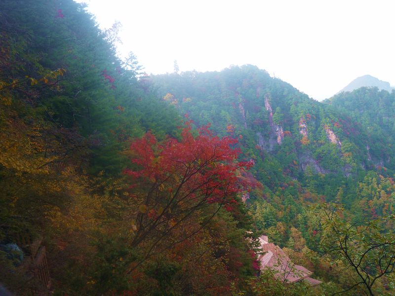 P1290735a.jpg