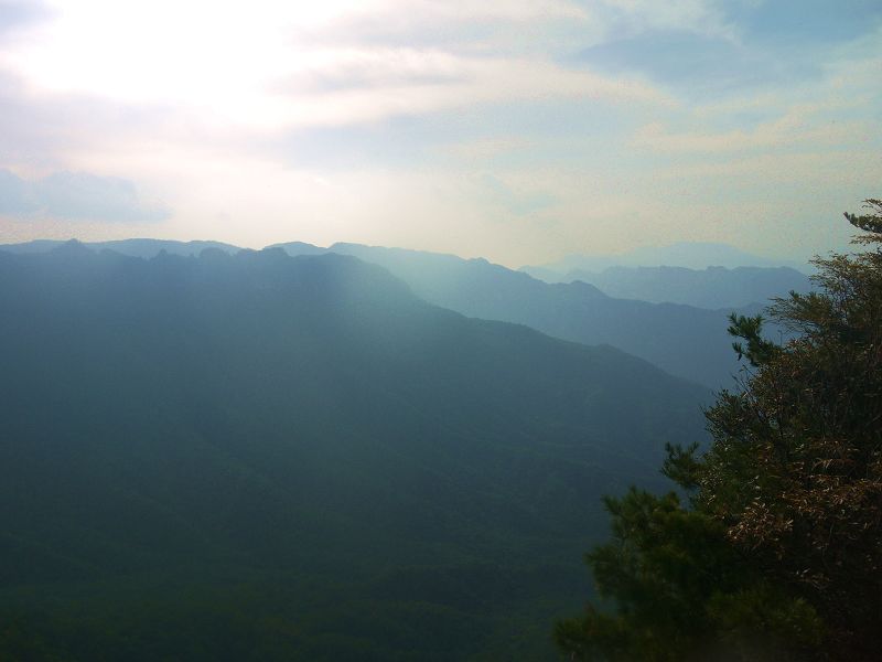P1290792a.jpg