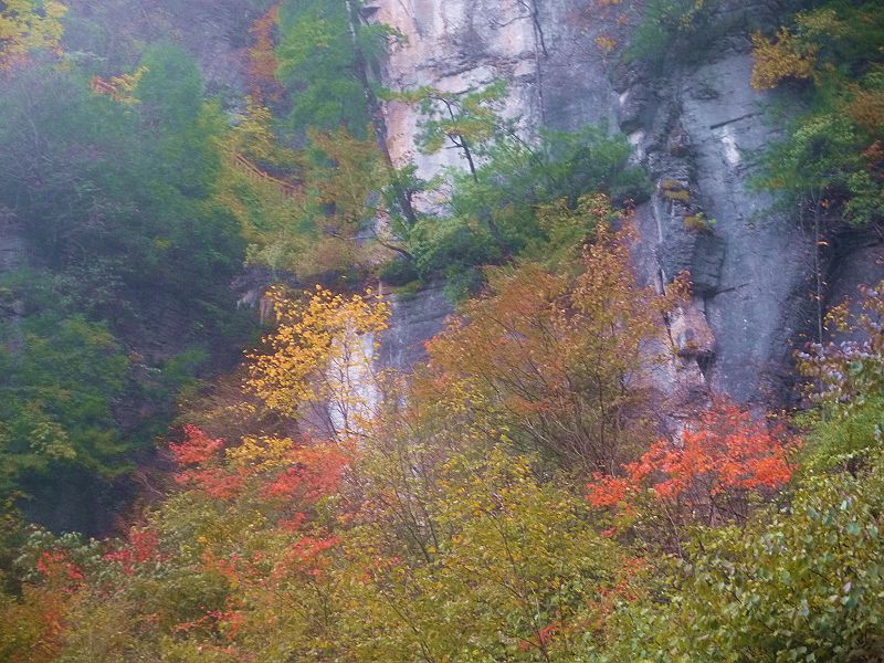 P1290865a.jpg