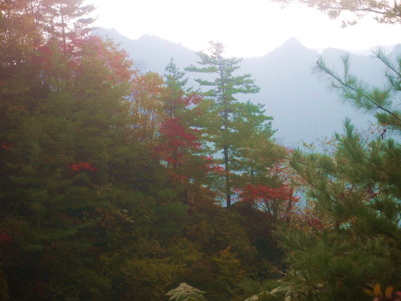 P1290871a.jpg