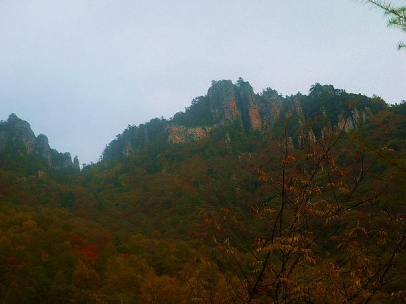 P1290892a.jpg