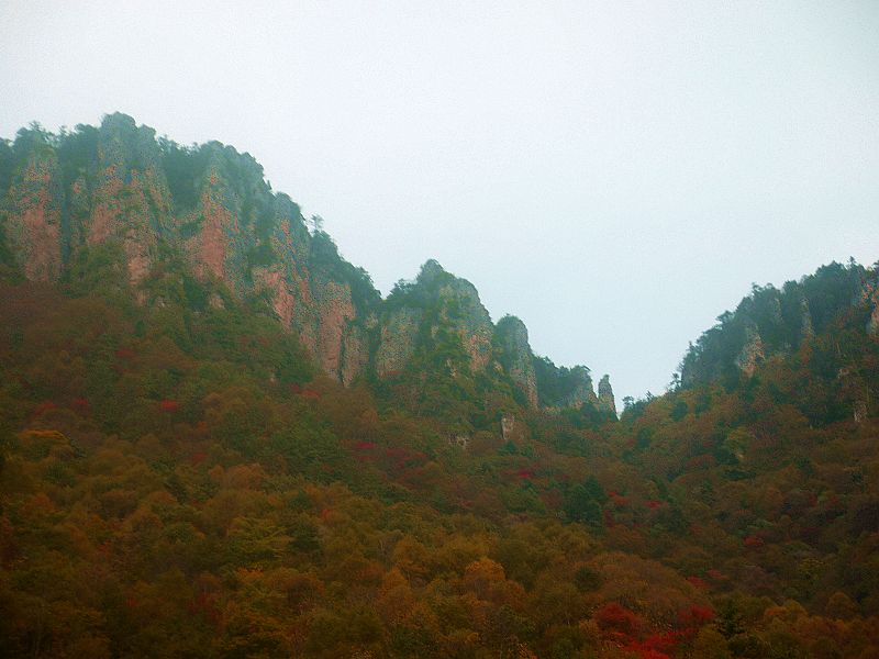 P1290895a.jpg