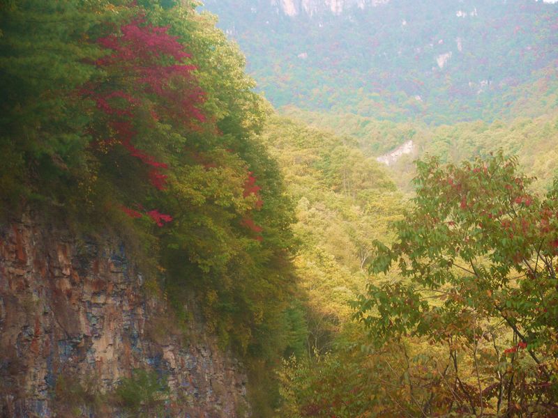 P1290920a.jpg