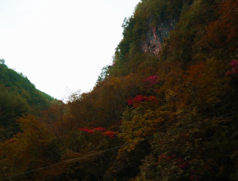 P1290987a.jpg