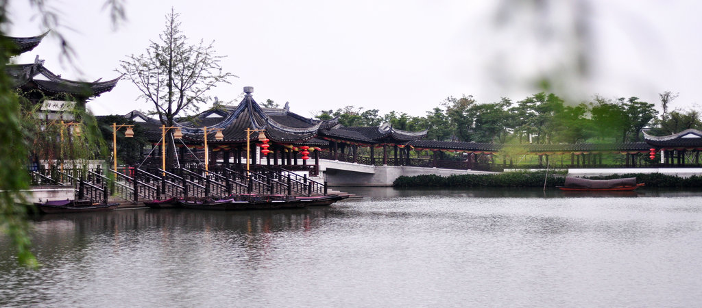DSC_8754_副本1.JPG