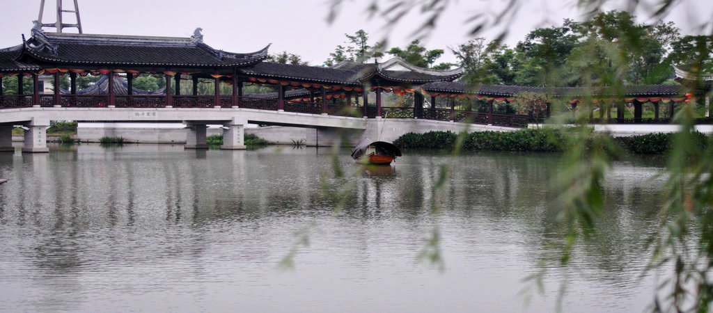 DSC_8764_副本1.JPG