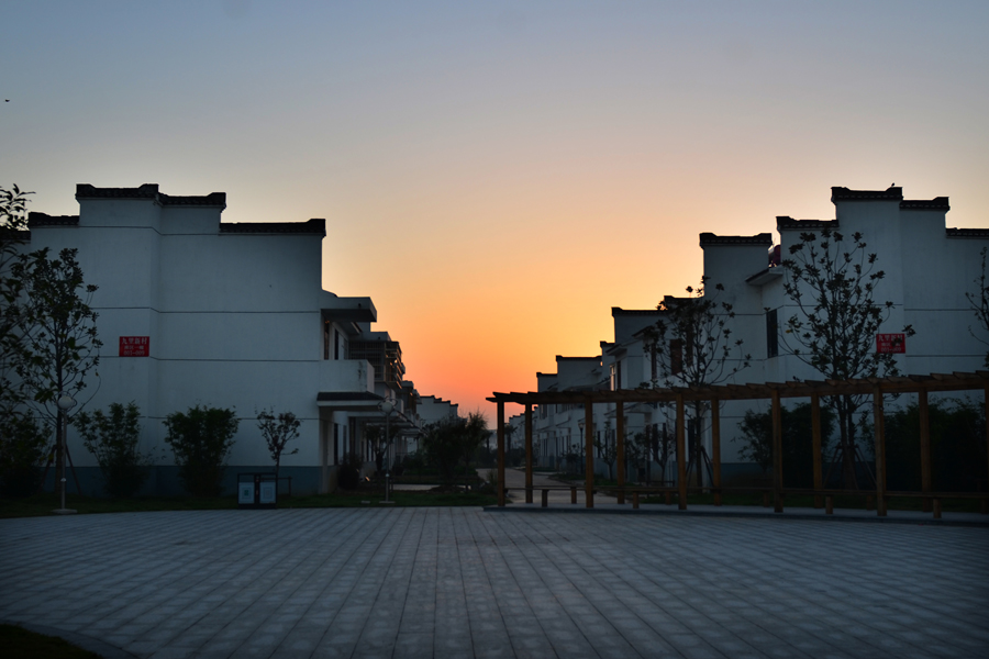 DSC_1192.jpg