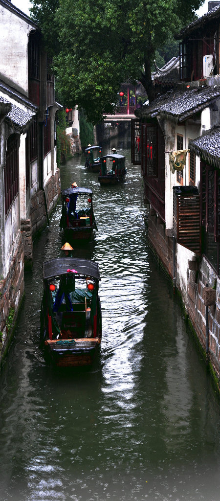 DSC_8614_副本1.JPG
