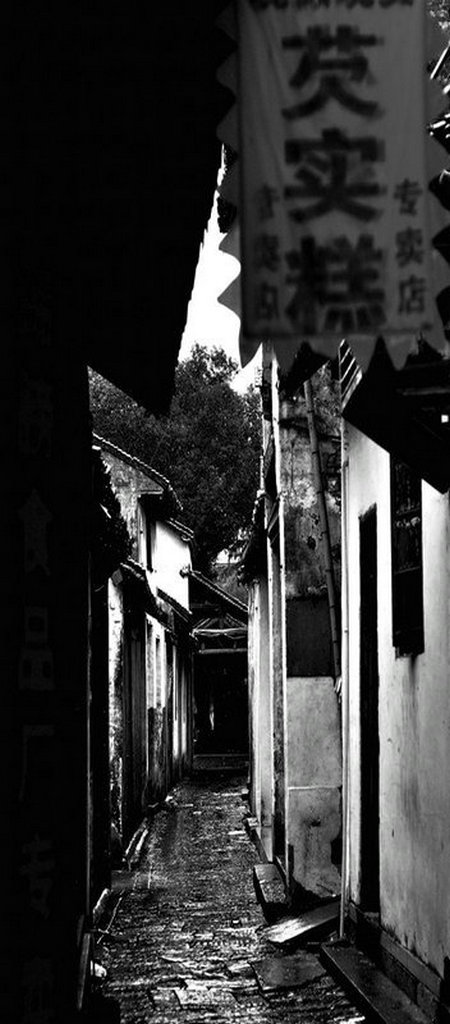 DSC_8640_副本_副本.JPG