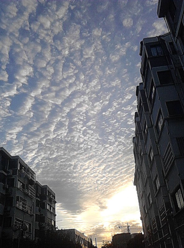 旋转 IMG_20131016_062903.jpg