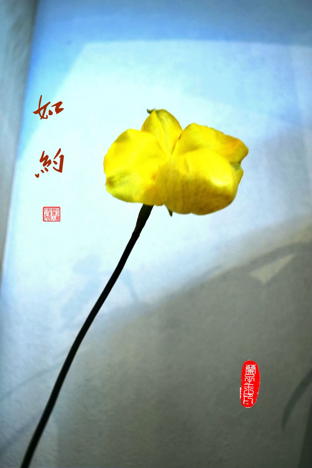 如约.jpg