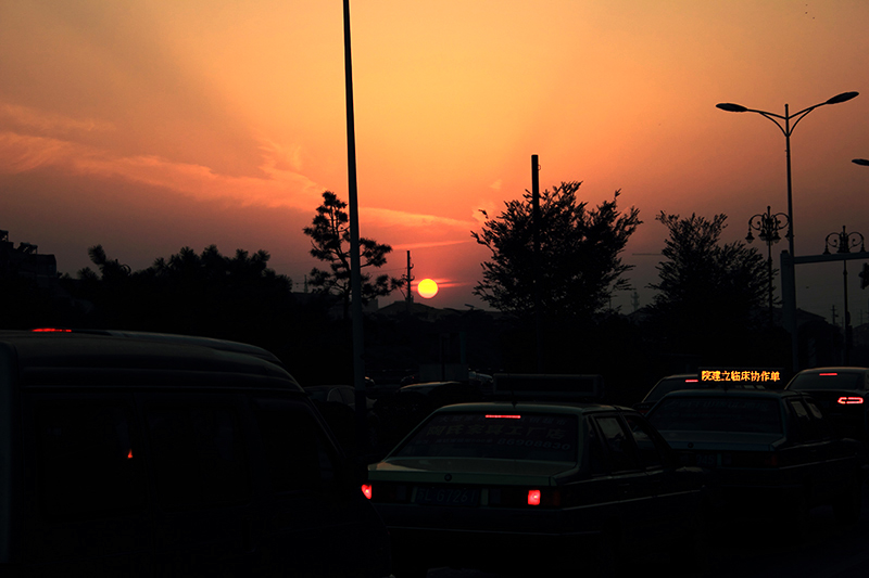 _MG_4716.JPG