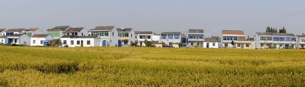 DSC07909 - 副本_副本_副本.jpg