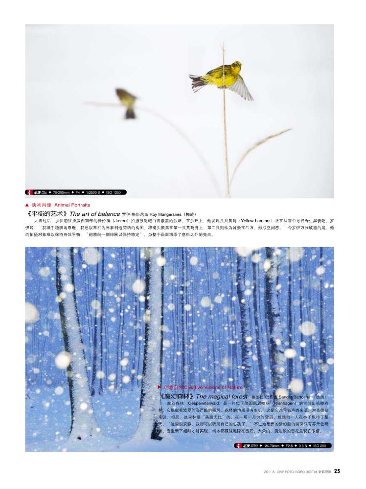 CHIP数码摄影2011年06月0017.jpg