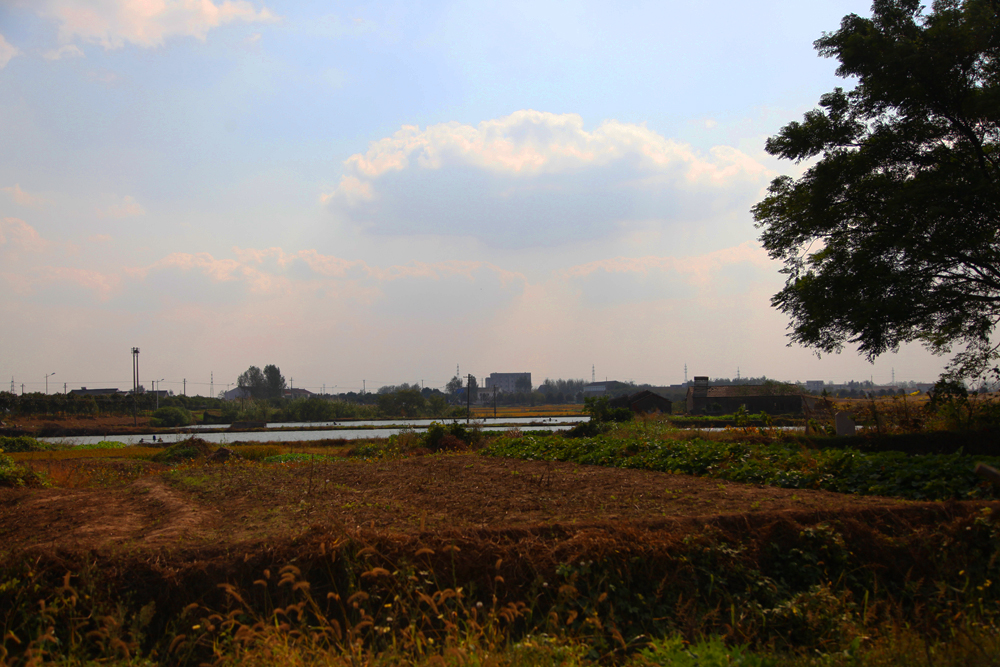 10.25蒙古风情2 008.jpg