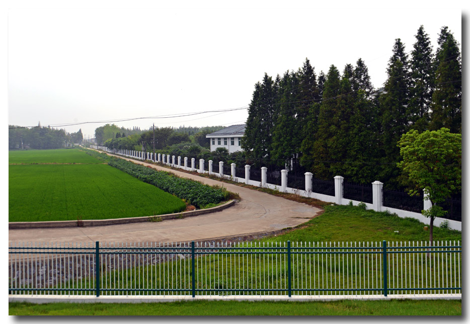 DSC_3539-3.jpg