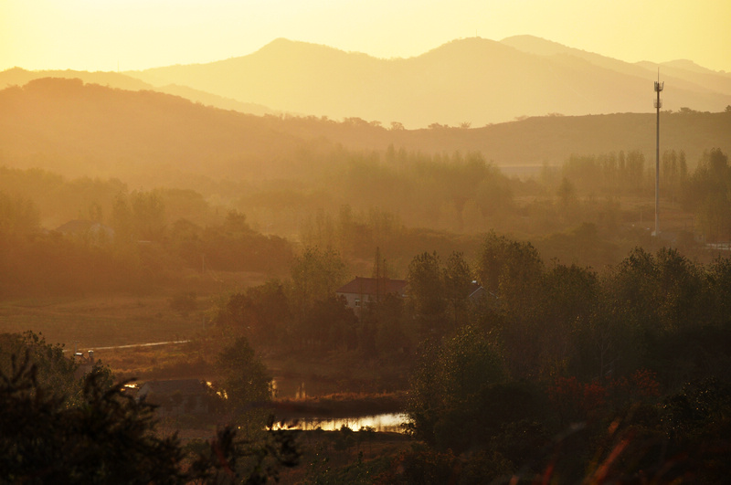 DSC_1553s.jpg