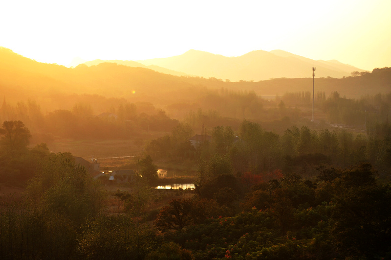 DSC_1540.jpg