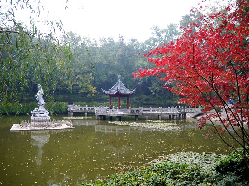 P1370707a.jpg