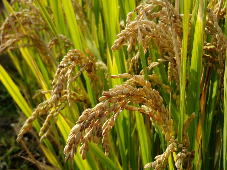 DSC07897_副本.jpg