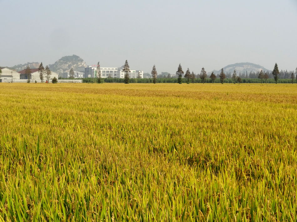 DSC07903_副本.jpg