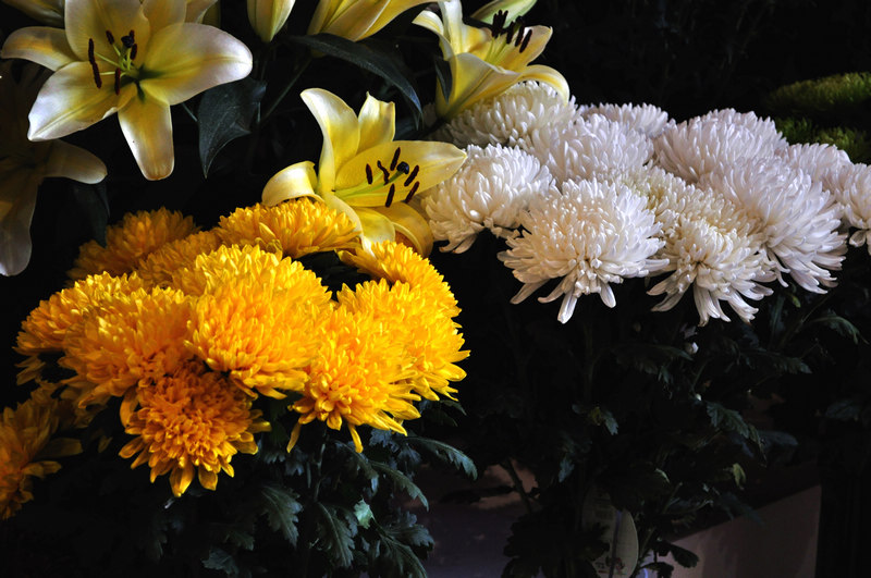 DSC_0978a.jpg