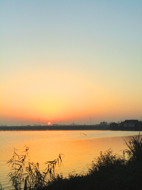 DSC0644f1.JPG