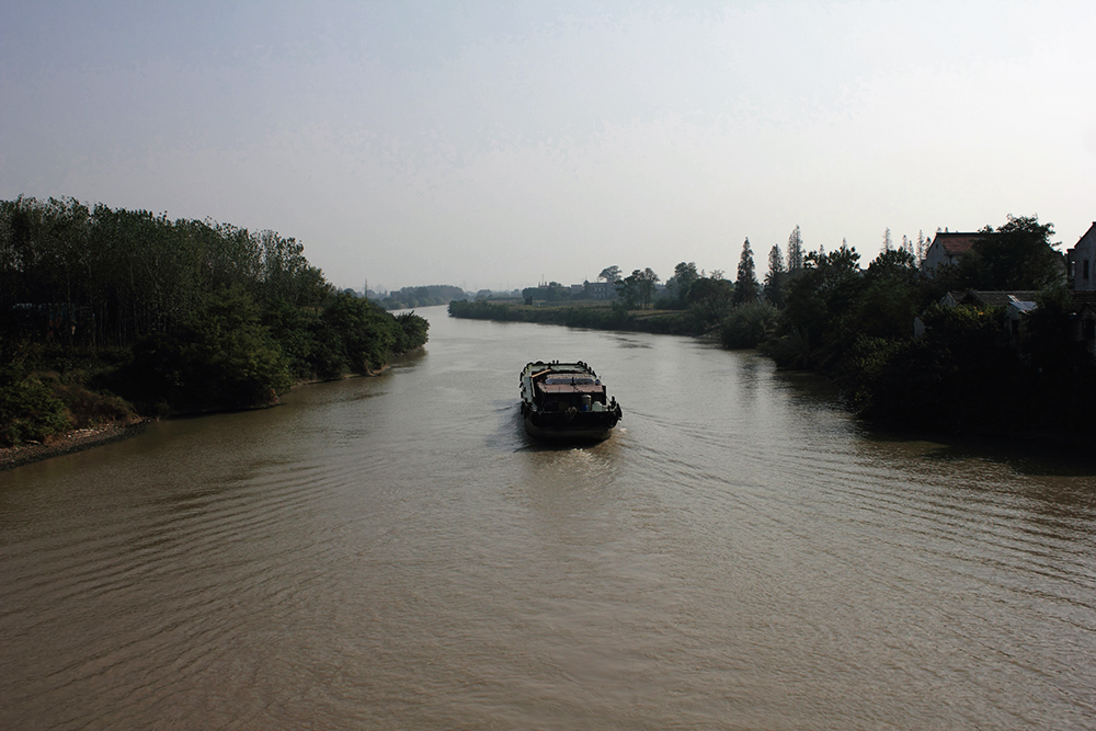 _MG_4246.JPG