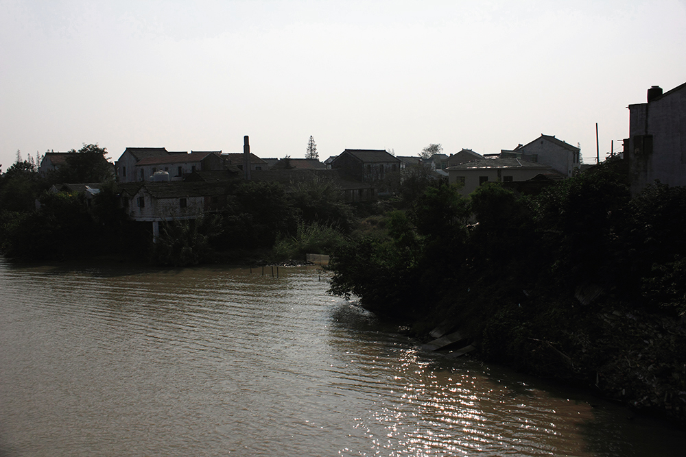 _MG_4247.JPG