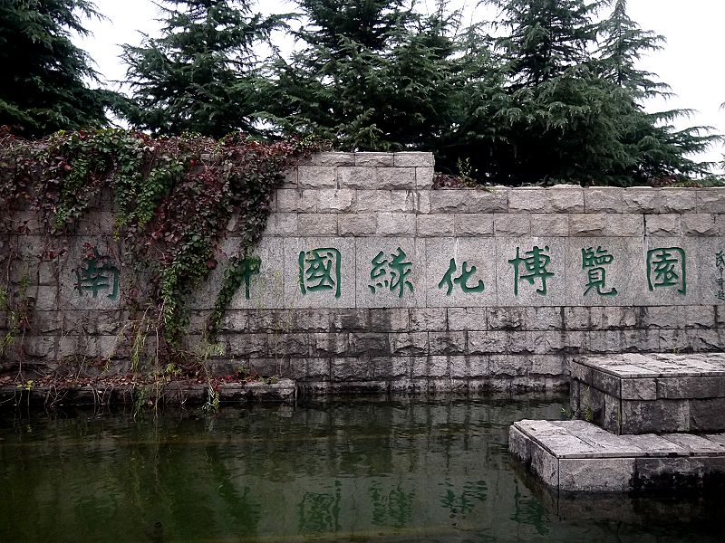 P1380533a.jpg
