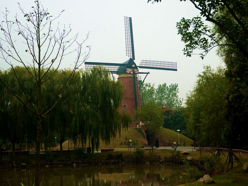 P1380069a.jpg