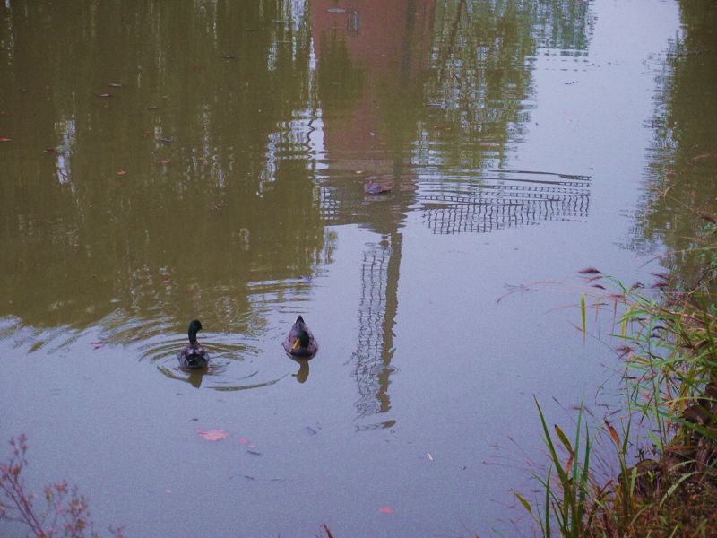 P1380074a.jpg