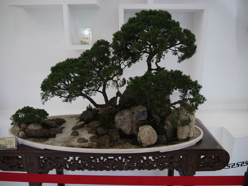 P1330633c.jpg