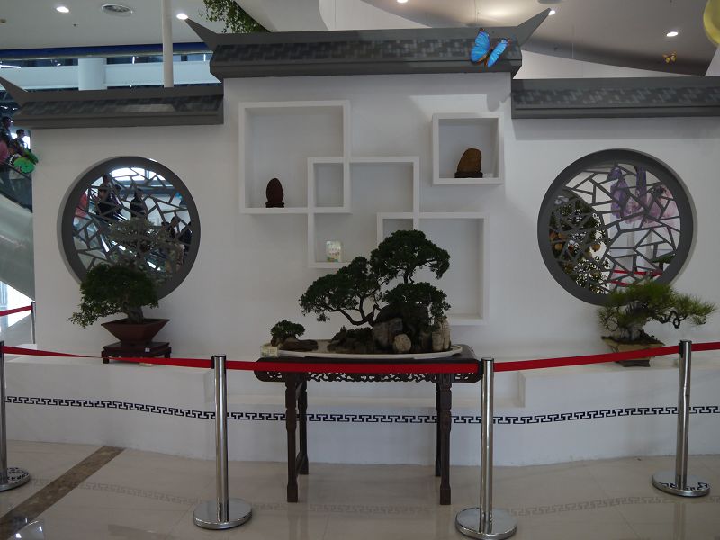 P1330630a.jpg