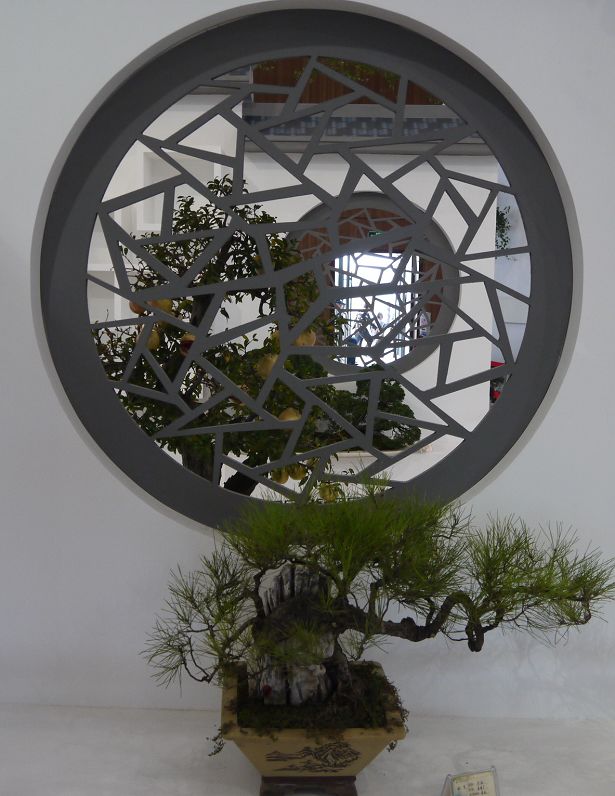 P1330635a.jpg