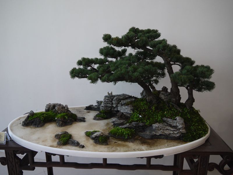 P1330643a.jpg